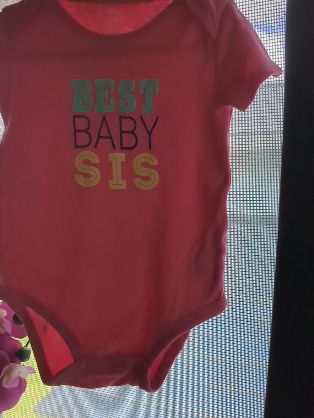 Carter's Pink 'Best Baby Sis' Short-Sleeve Bodysuit